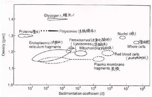 沉降系数的介绍
