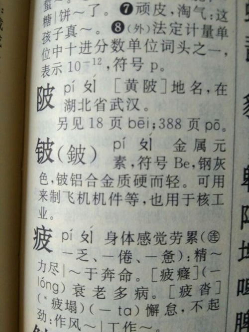 陂的拼音怎么读，杯的拼音组词