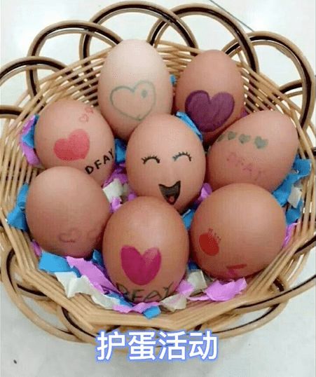 护蛋的感想怎么写