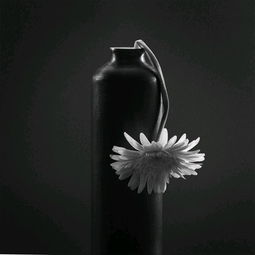 《悲观主义的花朵》pdf下载在线阅读全文,求百度网盘云资源