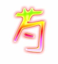 葡组词，荀组词