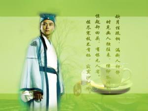 飘渺孤鸿影;拣尽寒枝不肯栖,寂寞沙洲冷”是什么意思啊?