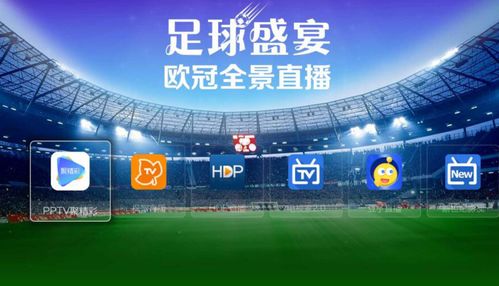 中央五台是否直播欧冠足球总决赛