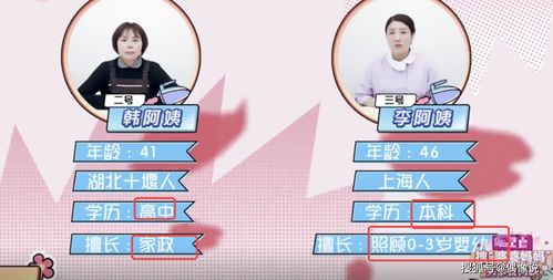 保姆是什么意思