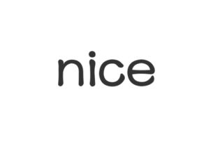 NICE是什么意思?