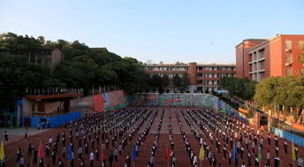 湖南长沙冰山学校去学摄影贵不贵啊?要学多久?