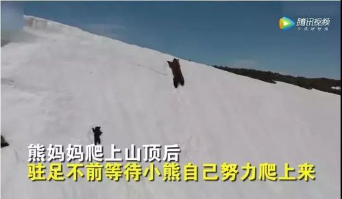 当我面对挫折的时候400字，当我面对挫折的时候作文500字