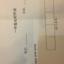 老鼠英语怎么写单词复数，mouse老鼠的复数