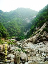 豫西伏牛山旅游景点介绍 河南伏牛山国家级自然保护区