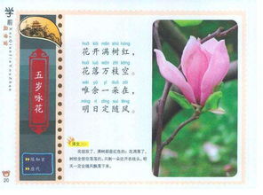 五岁咏花唐陈知玄，五岁咏花陈知玄