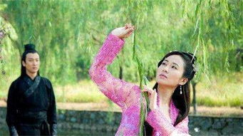 此夜曲中闻折柳的下一句诗是什么，此夜曲中闻折柳出自哪首诗