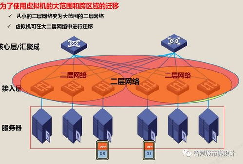 spine trial 是什么软件
