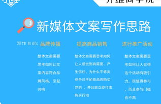 简报是什么样子的，观看简报是什么