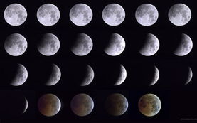 lunar是什么意思啊英语，lunaria是什么意思