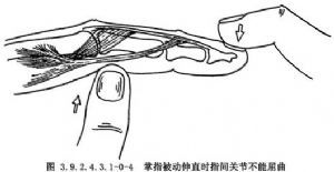 littlereilslin，little如何接动词