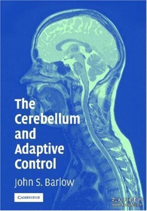 cerebellum怎么读，cerebellum影响因子