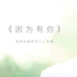 杨钰莹因为有你歌词，我说谢谢你因为有你歌词