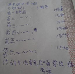 暑假假期见闻作文400字，菜市场见闻作文400字