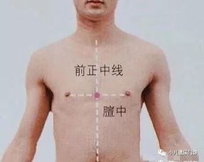 肺俞是yu还是shu?
