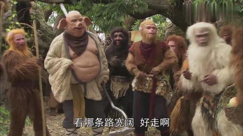 顽劣的拼音