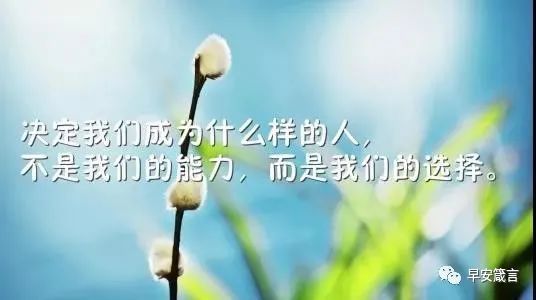 说给自己的励志话语