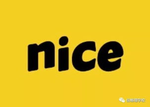 How nice的意思，recognice的意思
