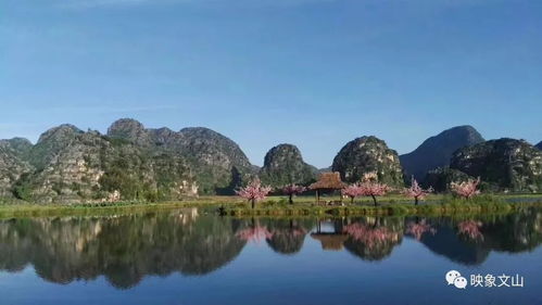 一方想离婚另一方不同意能离掉吗，一方混凝土要多少石子沙和水泥