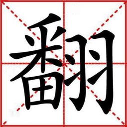 乡开头的成语，张开头的成语