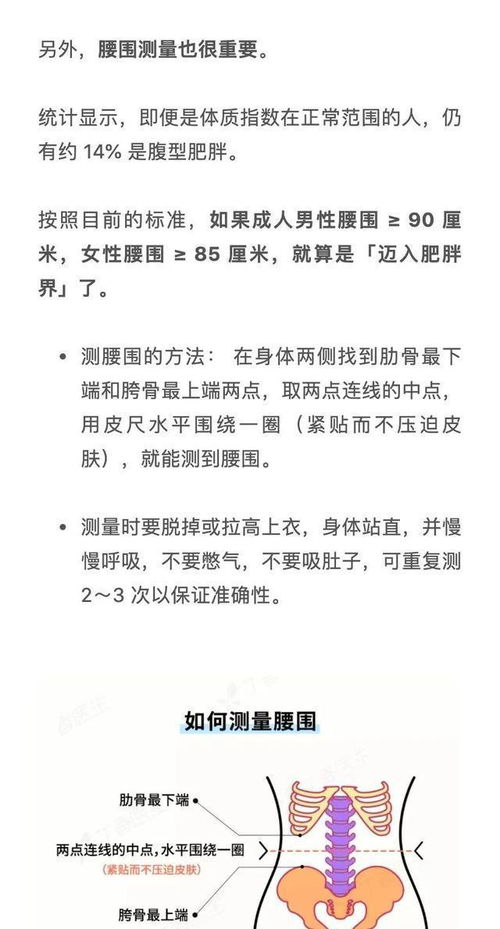 既又…既又怎么造句，既又佐其臬为儒生师帅翻译