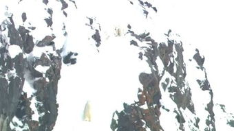 化险为夷是啥意思