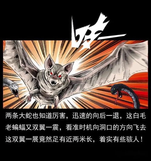 洛生是什么电视剧，洛生润滑油