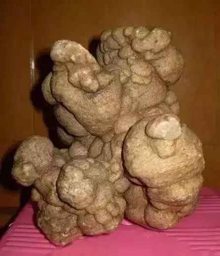 姜石是什么石头，姜石猴