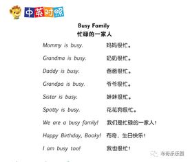 busy怎么读