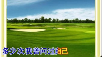假使的拼音，假使当初可以为了你,忘了爱所有人