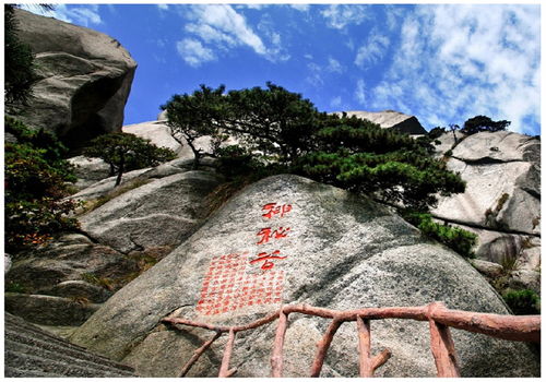 卡牌生存神秘谷有羊吗