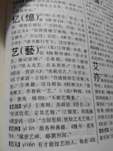 文言文的若是什么意思