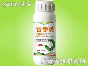 苦参碱的基本信息