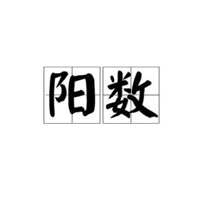 古人讲的阳数是什么