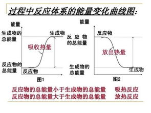 水解是吸热反应还是放热反应?