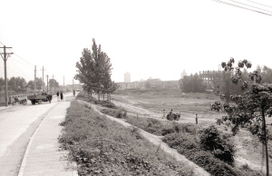 洼地是什么意思