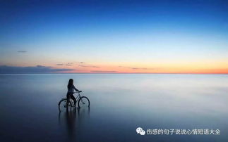 不顾一切是什么短语，不顾一切是贬义词吗