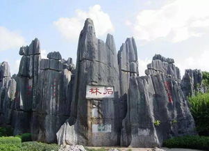 西安石林风景区介绍，云南小石林风景区介绍