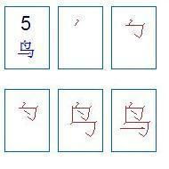 老写鸟的笔顺怎么写，鸟的笔顺怎么写视频