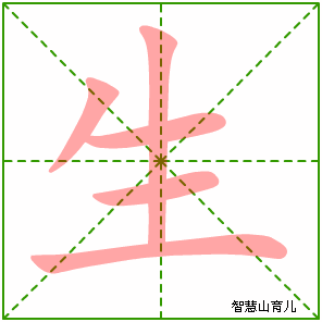生字的笔顺怎么写