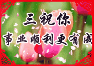 我亲爱的朋友