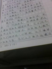 三年级的小练笔怎么写100字，三年级的小练笔怎么写24