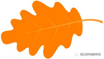枫叶的枫英文单词是什么