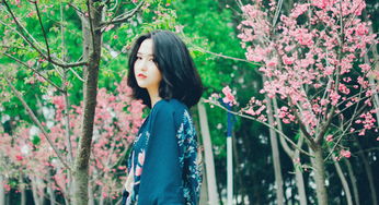 一间花圃求婚的是谁