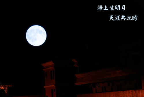 可怜楼上月徘徊,应照高人妆镜台配图怎么画，可怜楼上月徘徊的裴回怎么读