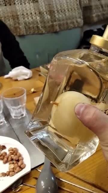 被酒的读音，被酒什么意思